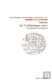 Autour De L''Atlantique Noir' : Une Polyphonie De Perspectives