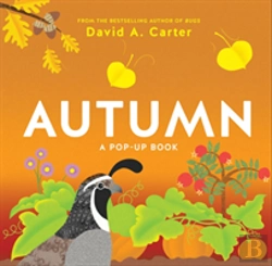 Bertrand.pt - Autumn