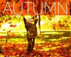 Bertrand.pt - Autumn