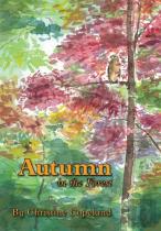 Autumn In The Forest
