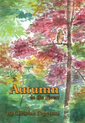 Autumn In The Forest