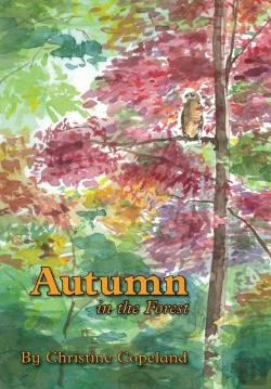Bertrand.pt - Autumn In The Forest