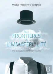 Aux Frontieres De L Immaterialite