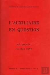 Auxiliaire En Question