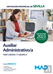 Auxiliar Administrativo/A De La Diputacion Provincial De Sev