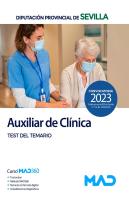 Auxiliar Clinica Diputacion Provincial Sevilla