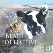 Ava Beach Detective