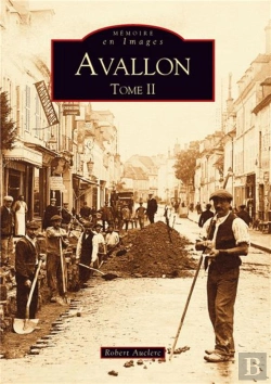 Bertrand.pt - Avallon Tome 2