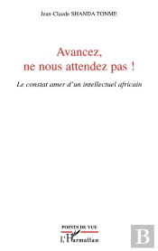 Avancez Ne Nous Attendez Pas ; Le Constat Amer D'Un Intellectuel Africain
