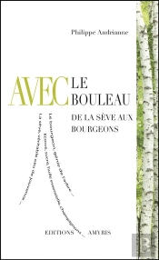 Avec Le Bouleau ; De La Sève Aux Bourgeons