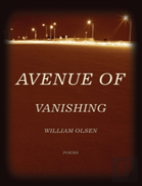 Avenue Of Vanishing