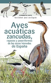 Aves Acuaticas Zancudas Rapaces Y Paseriformes Zonas Humedas