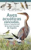 Aves Acuaticas Zancudas Rapaces Y Paseriformes Zonas Humedas