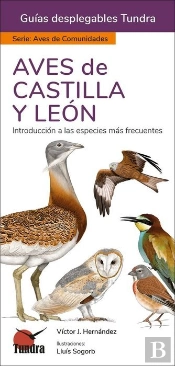 Aves Castilla Y Leon