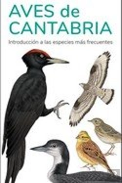 Bertrand.pt - Aves De Cantabria - Guias Desplegables Tundra