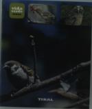 Aves De España Y Europa