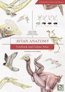 Bertrand.pt - Avian Anatomy 2nd Edition