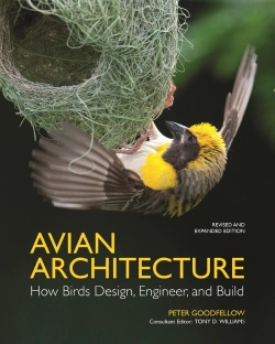 Bertrand.pt - Avian Architecture, Revised And Expanded Edition