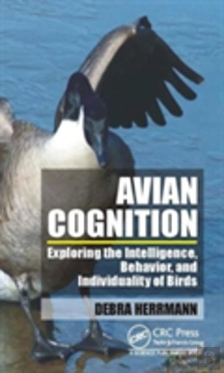 Bertrand.pt - Avian Cognition