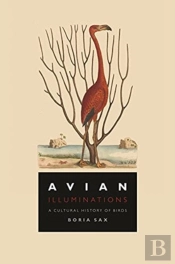 Avian Illuminations