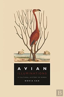 Bertrand.pt - Avian Illuminations