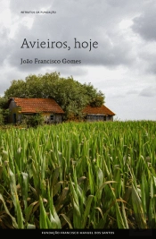 Avieiros, Hoje