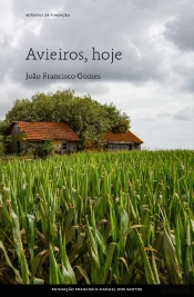 Avieiros, Hoje