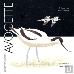 Bertrand.pt - Avocette