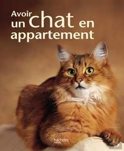 Bertrand.pt - Avoir Un Chat En Appartement