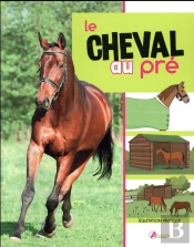 Avoir Un Cheval Au Pre
