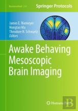 Awake Behaving Mesoscopic Brain Imaging