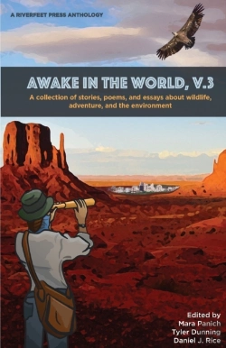 Bertrand.pt - Awake In The World, Volume 3