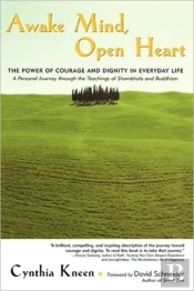 Awake Mind, Open Heart