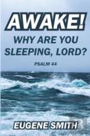 Awake!  Why Are You Sleeping, Lord?