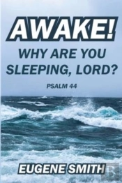 Awake!  Why Are You Sleeping, Lord?