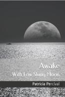Awake With Low Slung Moon