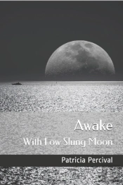 Awake With Low Slung Moon