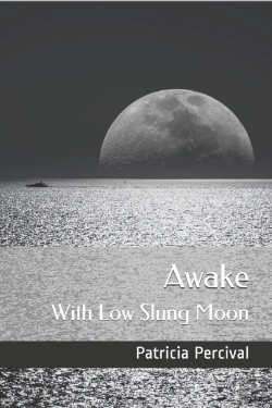 Bertrand.pt - Awake With Low Slung Moon