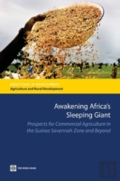 Awakening Africa'S Sleeping Giant