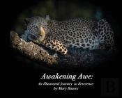 Awakening Awe
