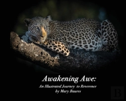 Bertrand.pt - Awakening Awe
