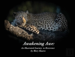 Bertrand.pt - Awakening Awe