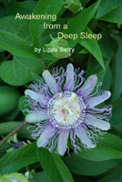 Bertrand.pt - Awakening From A Deep Sleep