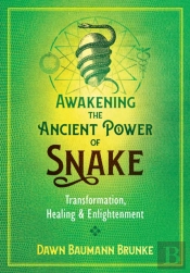 Awakening The Ancient Power Of Snake