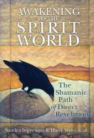 Awakening To The Spirit World