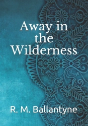 Away In The Wilderness