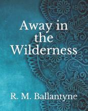 Away In The Wilderness