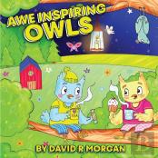 Awe Inspiring Owls