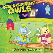 Awe Inspiring Owls