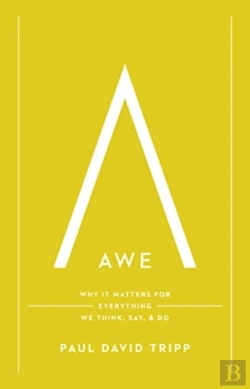 Bertrand.pt - Awe